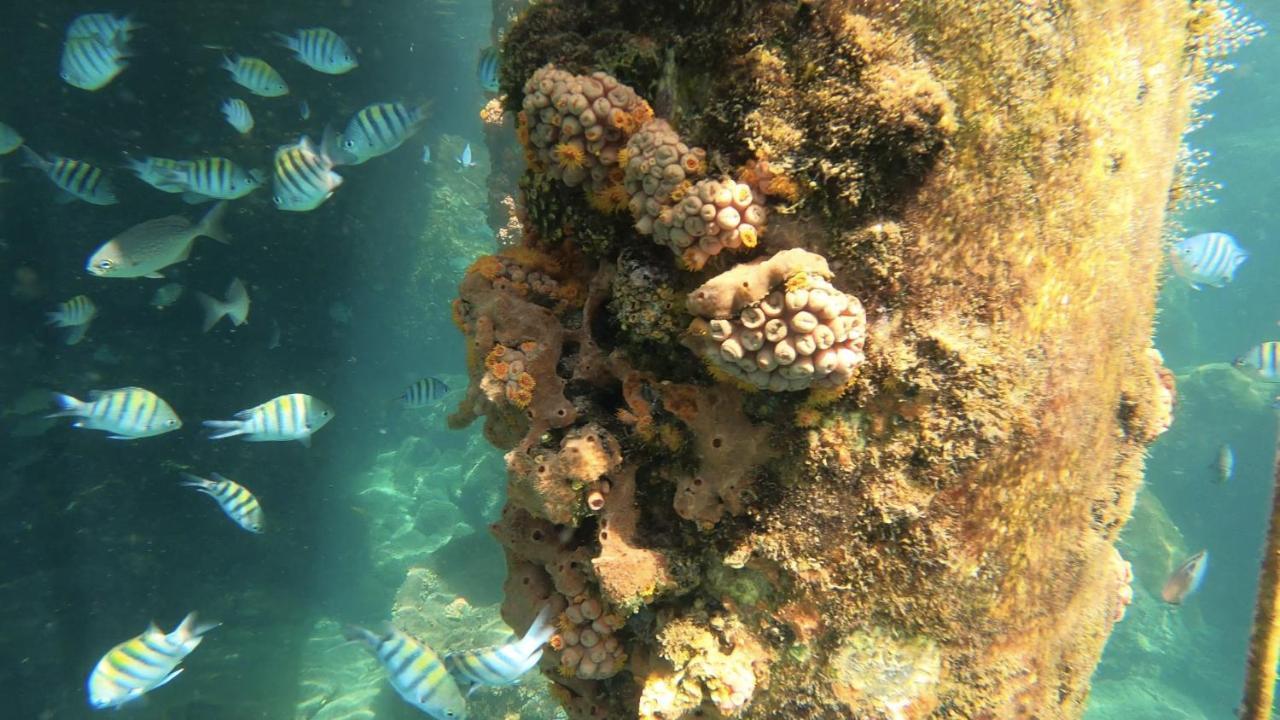 Pousada Conves - Ilha Grande Praia de Araçatiba Екстериор снимка