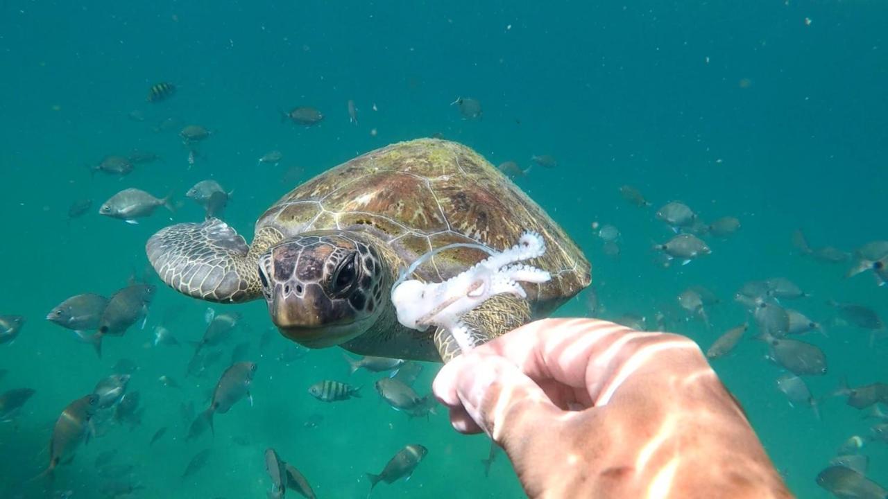 Pousada Conves - Ilha Grande Praia de Araçatiba Екстериор снимка