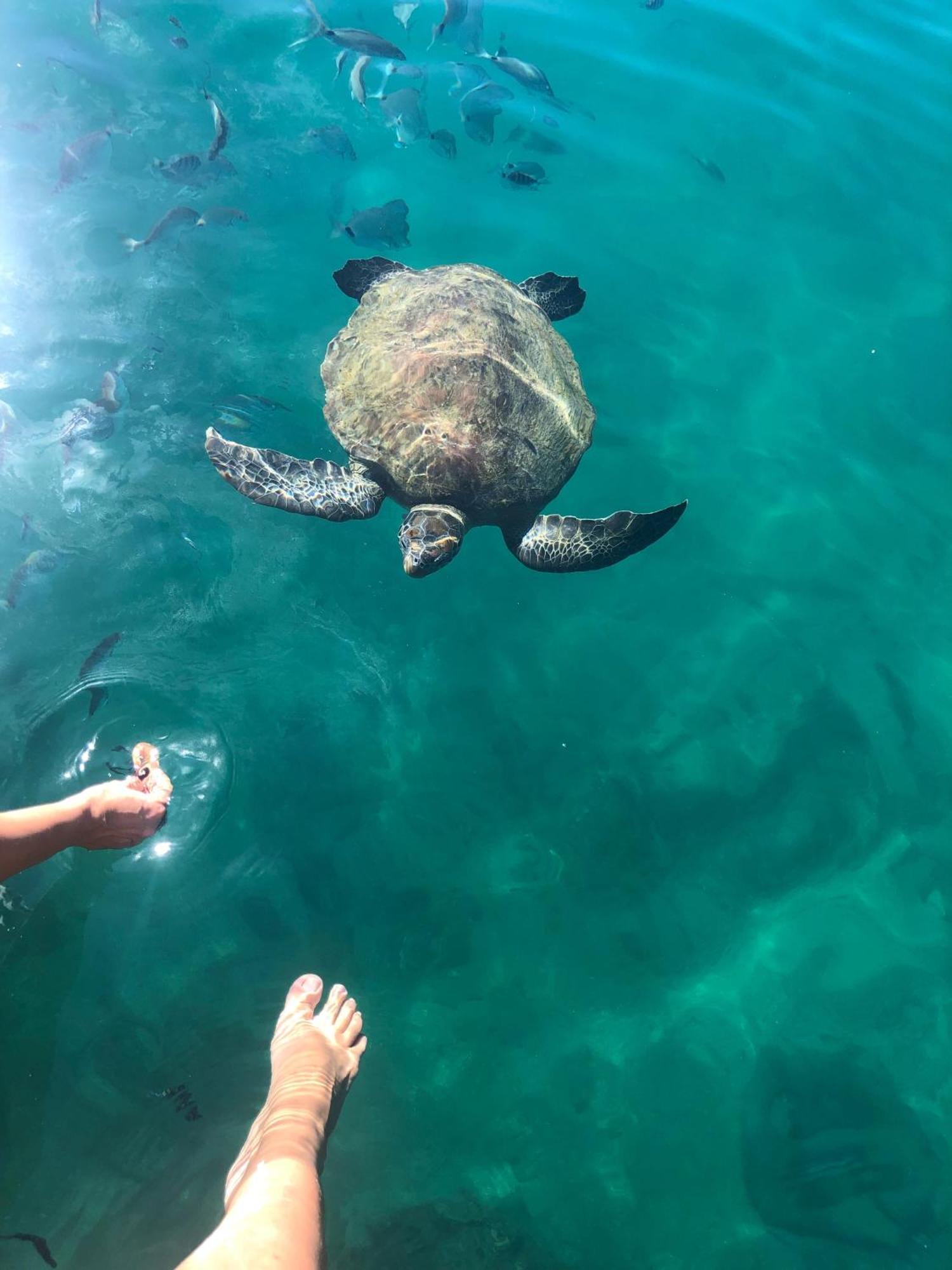 Pousada Conves - Ilha Grande Praia de Araçatiba Екстериор снимка